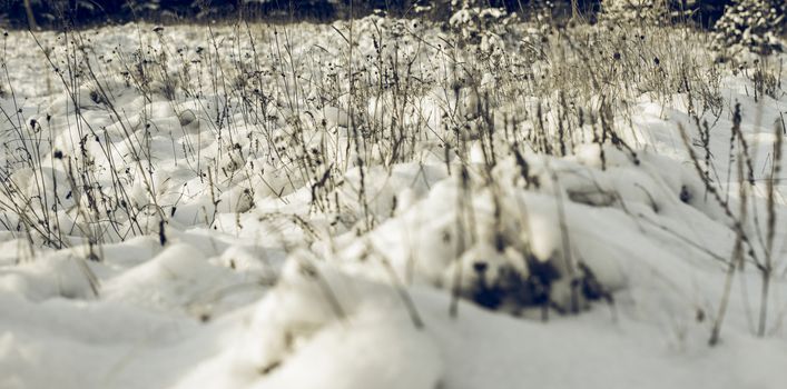 Abstract Winter background, Winter Outdoor Scene, Happy New Year and Merry Christmas Background for a Greeting or Message about Promotions and Sales, for Social Media, Posters, Email, Print, Ads