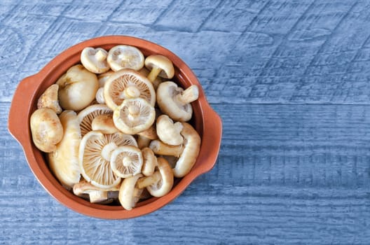 Raw washed mushrooms in a ceramic pot on a blue wooden background. The view from the top.