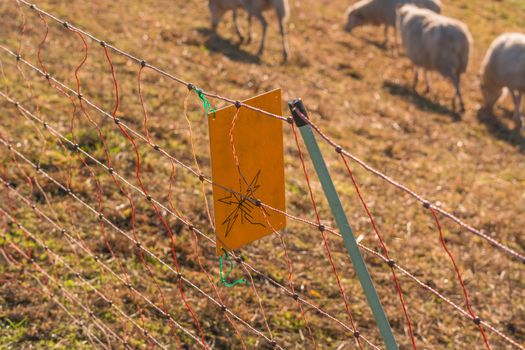 Yellow warning sign Caution Electric wicker fence