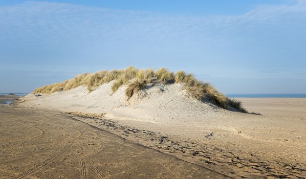 sand on the dunes at the beach in Holland with the northsea as background