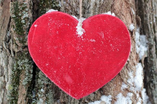 wooden red heart against the background of texture of a tree  