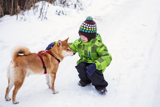 Little boy with Shiba Inu dog outdoors in the winter
