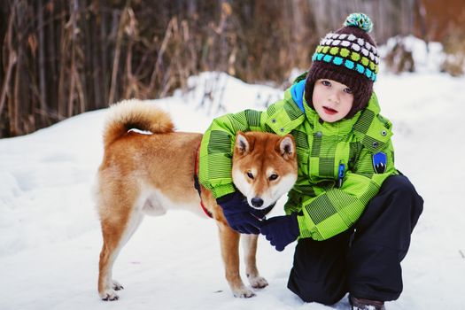 Little boy with Shiba Inu dog outdoors in the winter