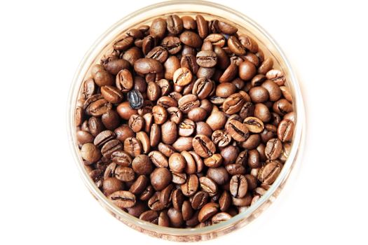 Coffee beans in studio shot close-up