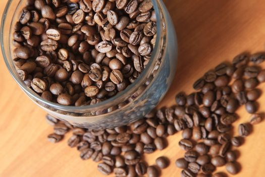 Coffee beans in studio shot close-up