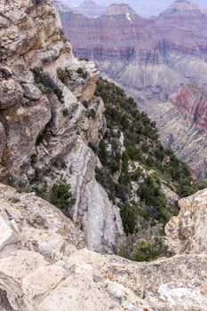 Looking down into the Grand Canyon on the North Rim.