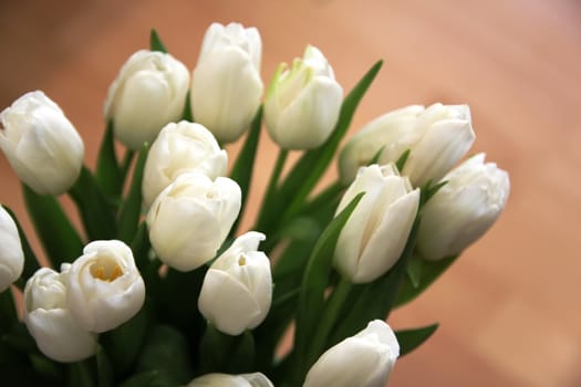 A large bouquet of white tulips with green leaves