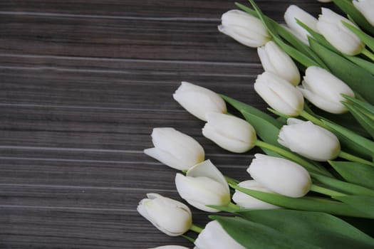 A large bouquet of white tulips with green leaves