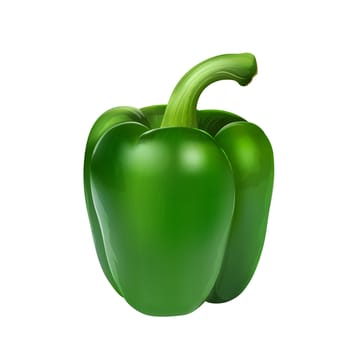 Green pepper isolated realistic illustration on white background.