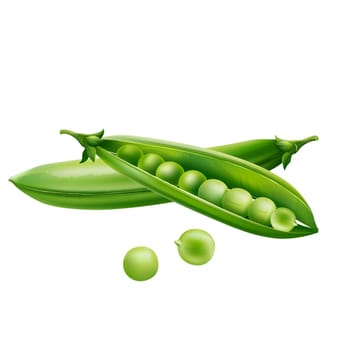 Green peas isolated illustration on white background.