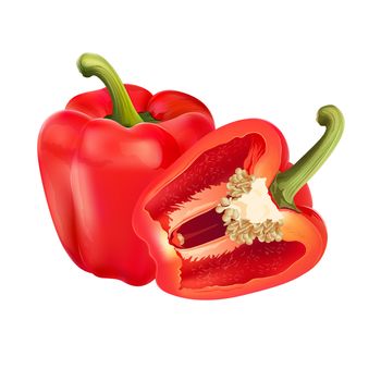 Red pepper isolated realistic illustration on white background.