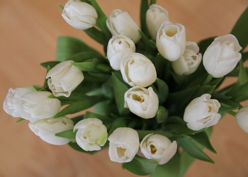 A large bouquet of white tulips with green leaves