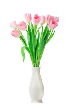 Beautiful Pink tulips flowers in vase isolated on white background. 8 march, Mother's Day concept. Small DOF.