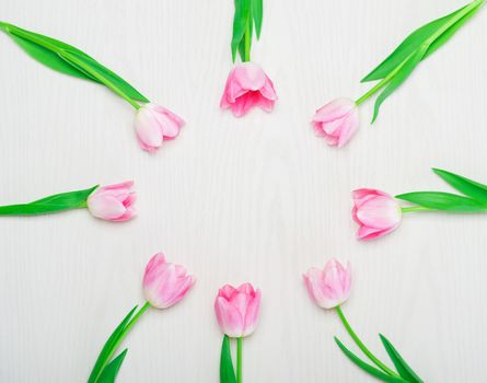 Beautiful Pink tulips flowers frame on white background. 8 march, Mother's Day concept. Small DOF. Flat lay