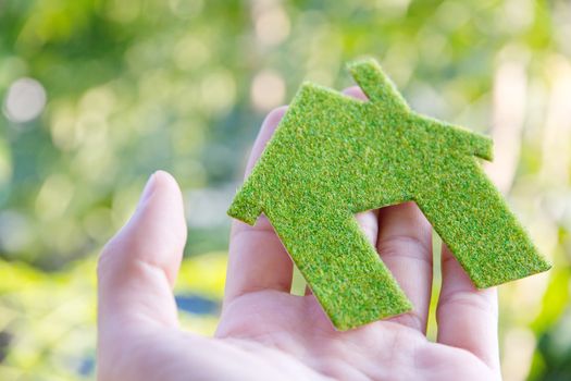 hand holding Eco house icon