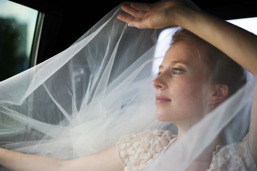 The beautiful bride is closed by a veil