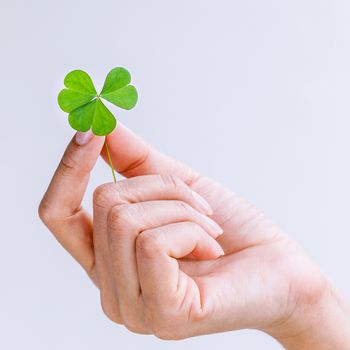 The girl holding Clovers leaves on white background. The symbolic of Clover the first is for faith, the second is for hope, the third is for love.