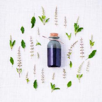 Bottle of essential oil with fresh holy basil leaves and flowers setup with flat lay on white fabric.