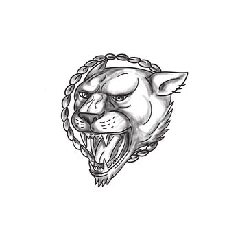 Tattoo style illustration of a lioness growling with rope in the background set on isolated white background. 