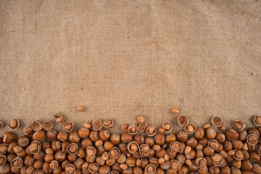 Natural, unbroken hazelnuts on a jute bag background. Top view.
