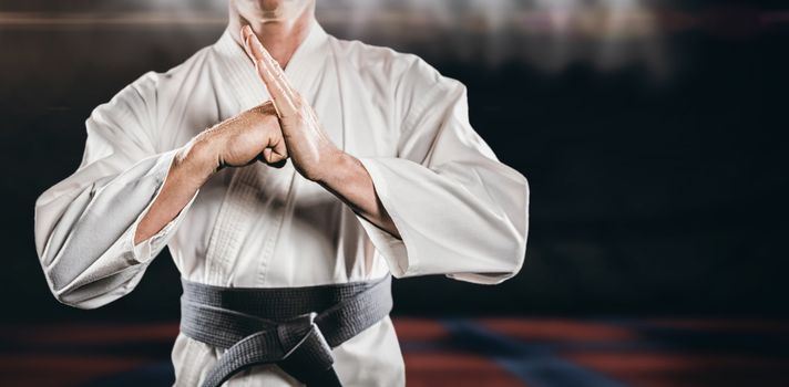 Fighter performing hand salute against view of a playing field indoor