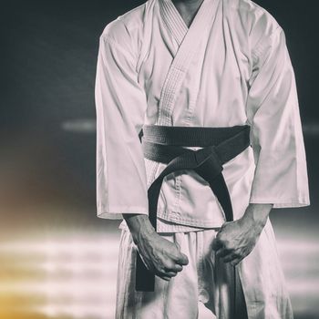 Fighter performing karate stance against spotlights