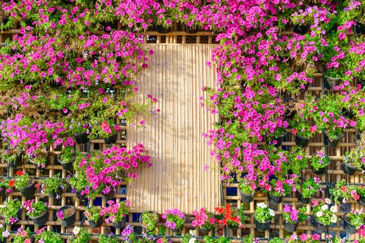 Beautiful vertical garden with plants on bamboo house