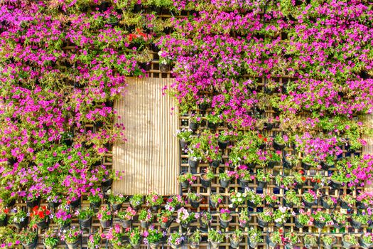 Beautiful vertical garden with plants on bamboo house