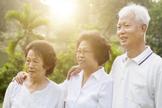 Group of healthy Asian seniors looking away at outdoor nature park, in morning beautiful sunlight at background.