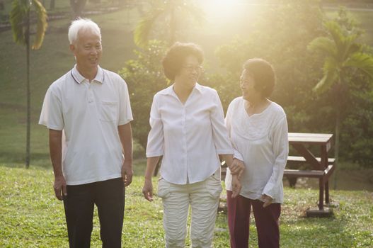 Group of healthy and happy Asian seniors retiree walking at outdoor nature park, in morning beautiful sunlight at background.
