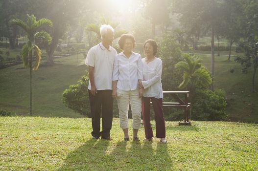 Group portrait of healthy and happy Asian seniors retiree walking at outdoor nature park, in morning beautiful sunlight at background.