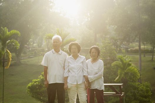 Portrait of healthy Asian seniors group enjoy retired life at outdoor nature park, in morning beautiful sunlight at background.