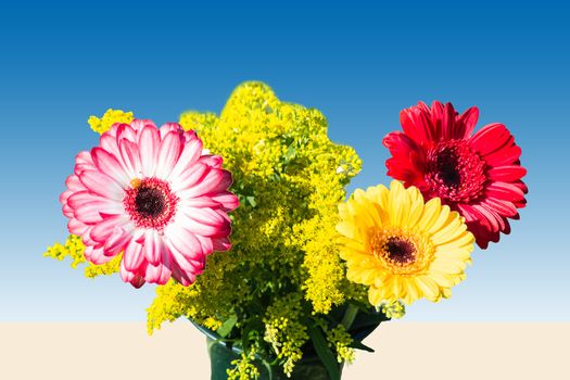 Colorful different-colored autumn flowers in the late summer sun against blue background.