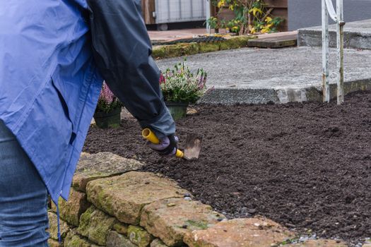 Woman with gloves and gardening tools when planting a flowerbed in autumn. Concept Gardening is healthy.