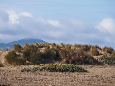 Beautiful scene of Morro Rock Bay, California USA