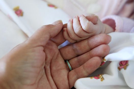 The image of hands of parent and the child