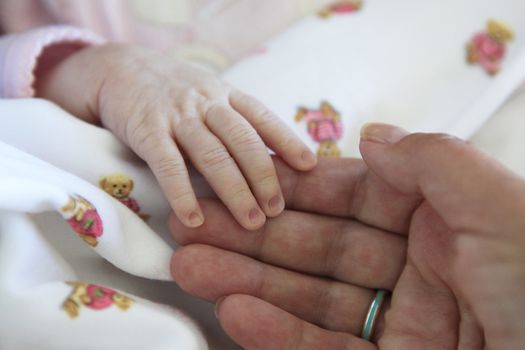 The image of hands of parent and the child