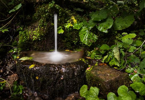 Little Water Spring Flowing into a Rocky Basin in the Forest