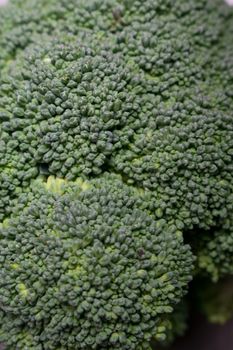 Brocoli close up backgroundof the floral seeds