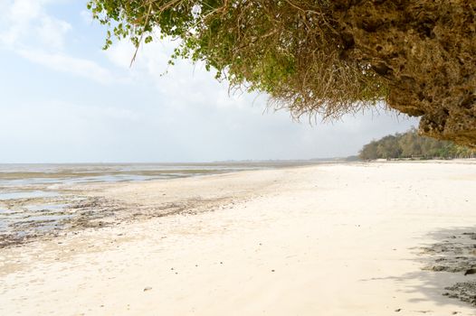 Small cove with a rock on the white sand of the bamburi beach in Mombasa, Kenya