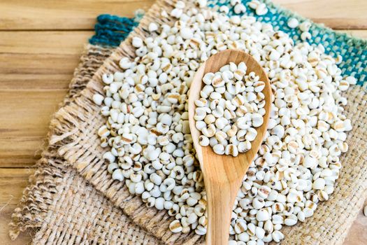 Job's tear seed dried in wooden spoon on wooden table