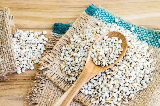 Job's tear seed dried in wooden spoon on wooden table