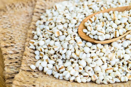 Job's tear seed dried in wooden spoon on wooden table