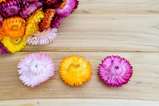 Beautiful strawflowers on wooden table