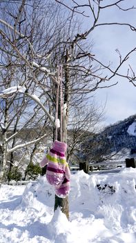 Snow gloves hanging with the tree in the forest Noboribetsu onsen snow winter national park in Jigokudani, Hokkaido, Japan