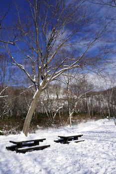 Snow and bench in the walkway forest Noboribetsu onsen snow winter national park in Jigokudani, Hokkaido, Japan