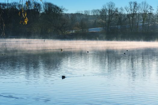 Morning with fog and sun reflection at a small lake in Heiligenhaus, Germany.