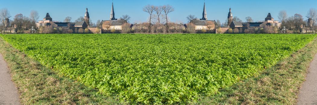 View of an Agra field in winter. Cultivated with winter vegetables.