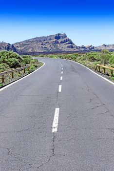 Asphalt road at Teide park.