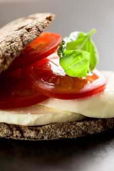 Sandwich with mozzarella, tomatoes and rye bread